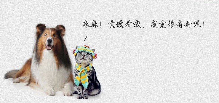 Wholesale of medium-sized flat-top dog cages and pet supplies from Yiwu Baojie Pet Supplies Wholesale pic 8