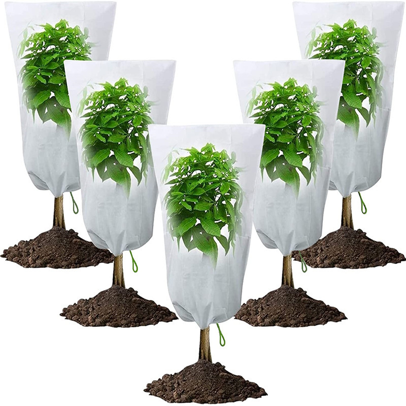 71EViuKIDIL._AC_SL1500_