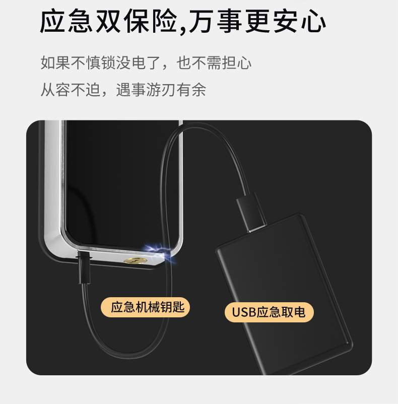 Tongtong Lock APP Cross-border Bluetooth wifi Smart electronic fingerprint smart door lock pic 9