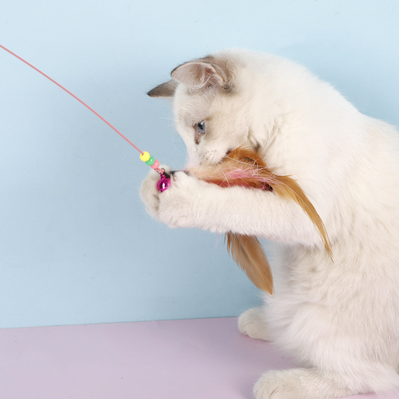 Wholesale of cat teaser sticks, caterpillar cat toys, steel wire feather cat teaser sticks, interactive cat play steel wire toy products pic 17