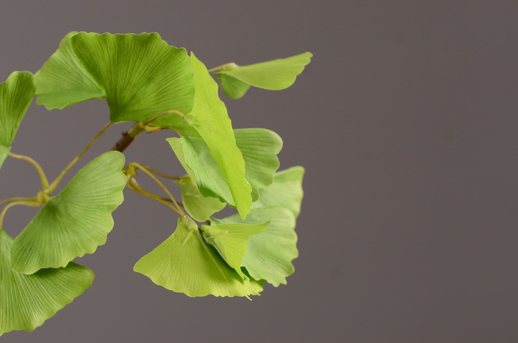 Dongli yellow artificial leaves, artificial ginkgo leaves, artificial trees, engineering landscaping, wedding decoration, artificial branches, Nordic artificial plant leaves pic 11