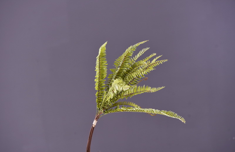 Wholesale of artificial Persian grass and artificial green plants, plant wall landscaping, window display, flower arrangement, leaf materials, fur, and artificial fern leaves pic 4