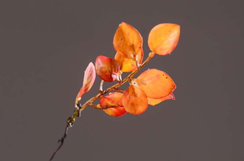 Flower Knowledge, simulating spring rain leaves, New Chinese-style Zen-inspired soft furnishings, flower leaf materials, simulating touch, autumn leaves, home decorations, floral art pic 15