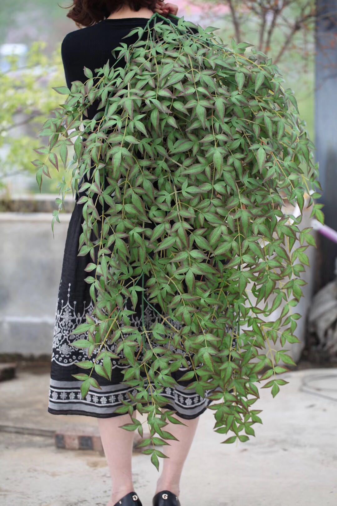 Simulated Nandina bamboo leaves and branches, wedding props, simulated leaves, artificial leaves, simulated branches, garden branches, simulated leaves pic 9