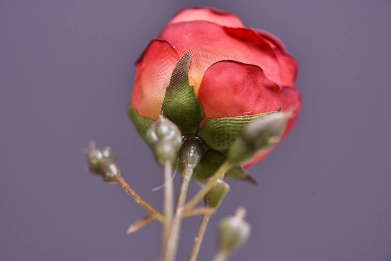 Simulated retro charred edge rose bud home, hotel, banquet table flower, high-end simulated rose, simulated dried flower pic 10