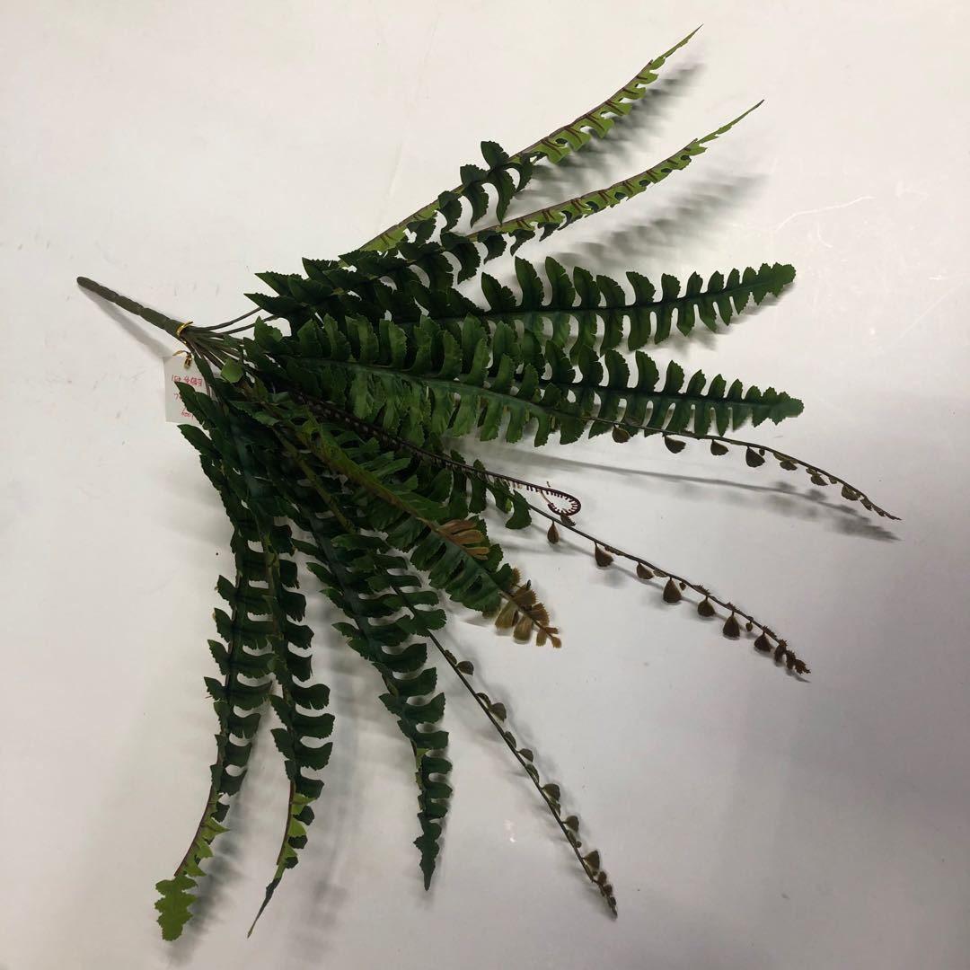 Artificial fern grass, Persian grass green, leaf green grass, row grass, artificial green plants, artificial plants, plant wall accessories, artificial grass, artificial flowers, artificial lawns, artificial trees, artificial vines, artificial flowers, artificial green pic 7