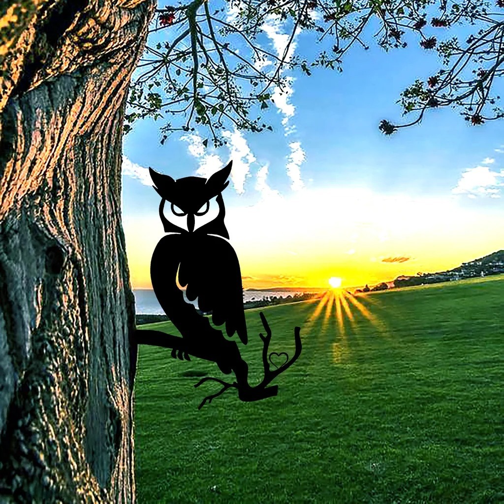 3_S512cf0d6f8674254867d13598e7