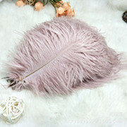 The feather fan is a special prop for the dance performance of the ostrich-colored feather fan used by the palace film crew pic 2