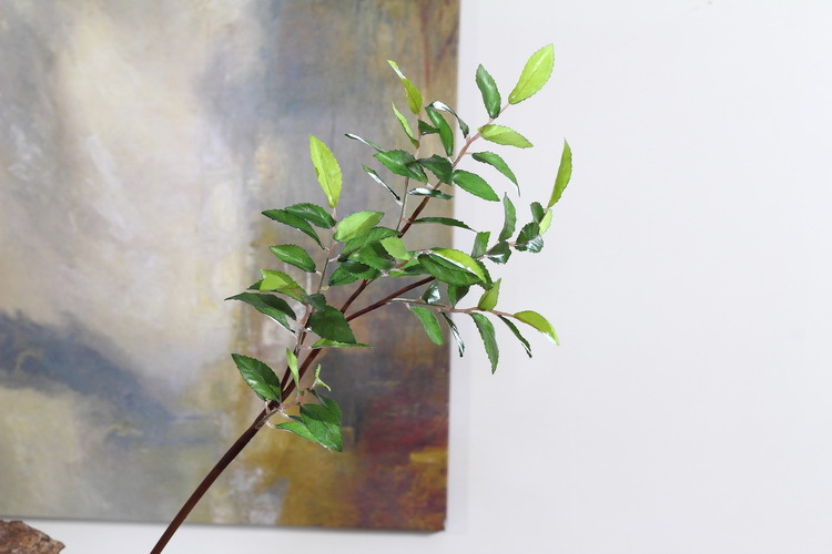 Dongli Factory direct sales, wholesale of olive leaf branches, artificial leaves, artificial leaves, Ins-style interior decoration, flower arrangement plants, wall accessories, artificial green plants pic 11