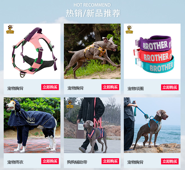 亚马逊新款宠物雨衣 可调节狗雨衣全包中大型犬压胶四脚连帽雨披详情2
