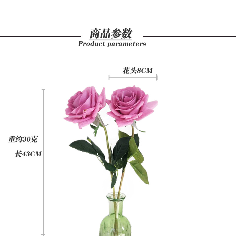 尺寸
