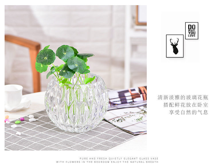 Hydroponic plant glass bottles, round glass vases, transparent green ivy and duck intestines containers, hydroponic flowerpots, vessels and containers pic 2
