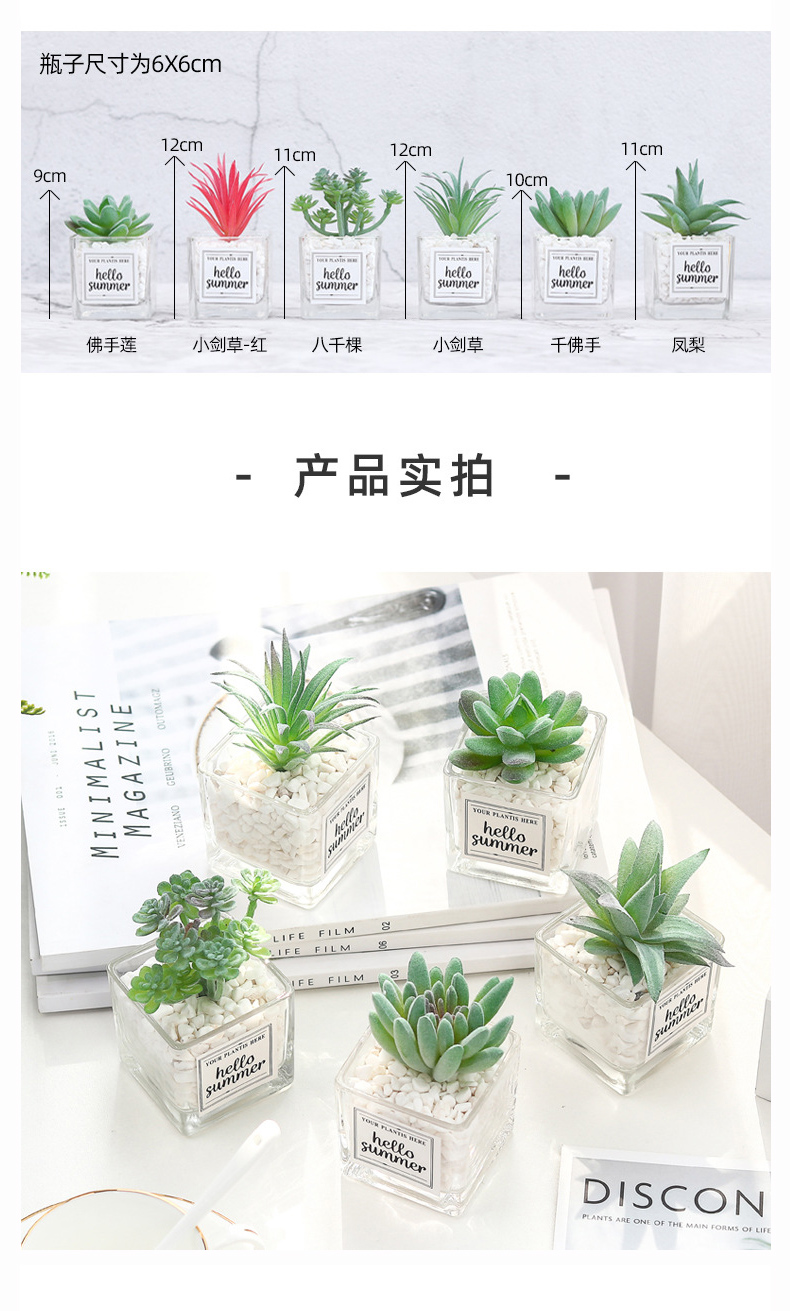 北欧绿植物仙人掌多肉假花装饰摆件客厅摆设办公室桌面小盆栽详情6