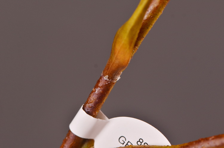 Dongli Factory direct sales, wholesale of artificial flowers, purple mist grass, purple dew grass, home decoration, artificial living room model rooms, artificial flower ornaments, one-piece consignment pic 25