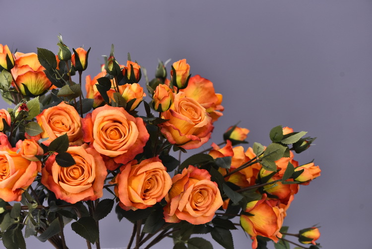 5 pieces of retro charred edge rose artificial flower decoration, artificial flower imitation dried flower, home soft decoration withered and dry, wedding Lanjin artificial rose wholesale pic 48