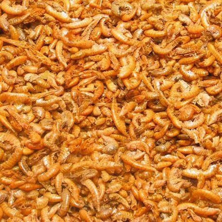 Wholesale fish feed, turtle feed, fish food, turtle food, dried hook shrimp Gammarus can be traded for export pic 9