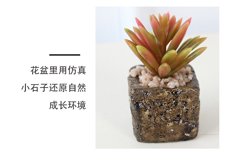 Factory wholesale mini artificial succulent plant potted plants, online store shooting props, desktop office decoration ornaments, artificial potted plants pic 18