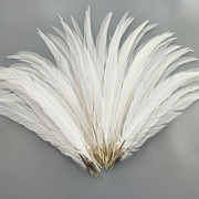 厂家批发珍珠鸡毛彩色羽毛 服装DIY手工工艺品饰品耳环材料野鸡毛详情7