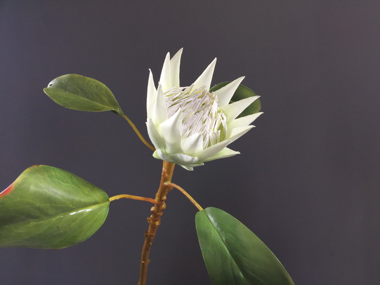 Dongli Flower Industry Factory offers direct sales and wholesale of tropical flowers, including simulated little emperor flowers, Nordic minimalist living room and home decoration simulated flowers, as well as entrance and table flowers pic 28