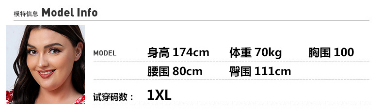 2024 Cross-border new French-style elegant plus-size dress with a V-neck, short sleeve and cinched waist, featuring a simple floral design pic 3