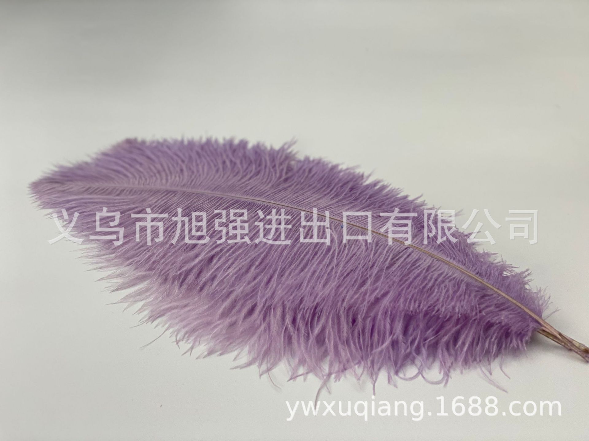 微信图片_20220112153413