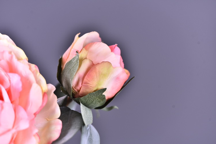 Factory direct sales of faux peonies with charred edges, wholesale of retro faux paeonies, living room and dining table flowers, wedding decoration artificial flowers pic 26