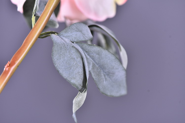 Factory direct sales of faux peonies with charred edges, wholesale of retro faux paeonies, living room and dining table flowers, wedding decoration artificial flowers pic 34