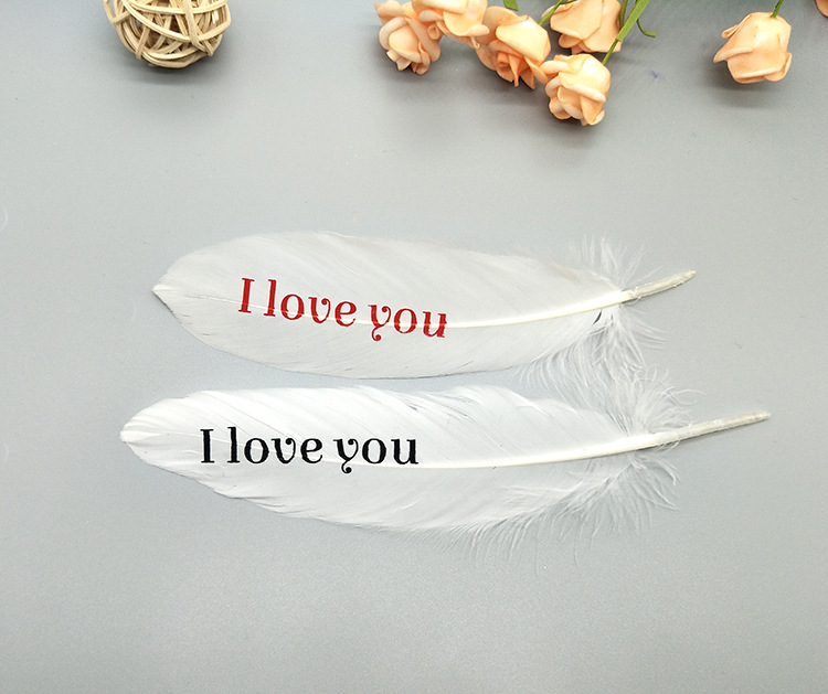 A large quill feather gift box with all-gold and all-silver feathers, paper card bookmarks and decorative quill pens pic 34