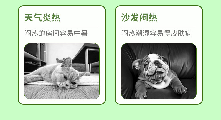 Summer dog bed pet ice pad, pet ice pad cartoon gel cooling pad, dog pad, pet supplies cooling pad pic 8