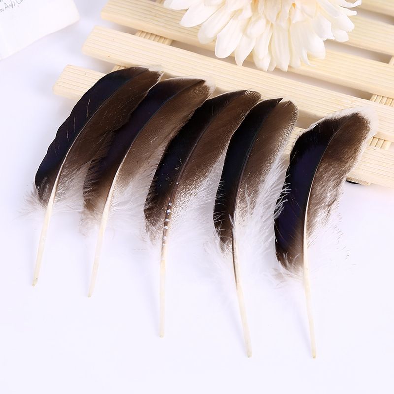 Wholesale of feathers from manufacturers, wild bird feathers, duck feathers, emerald feathers, DIY handmade jewelry materials, clothing accessories pic 15