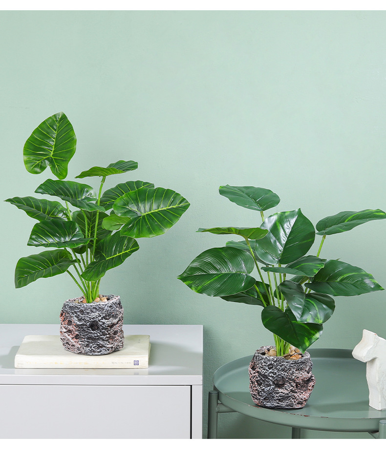 Nordic InS-style simulated pothos and turtle-back leaf potted plants, living room desktop simulated green plant potted plants, home decoration ornaments simulated potted plants pic 13