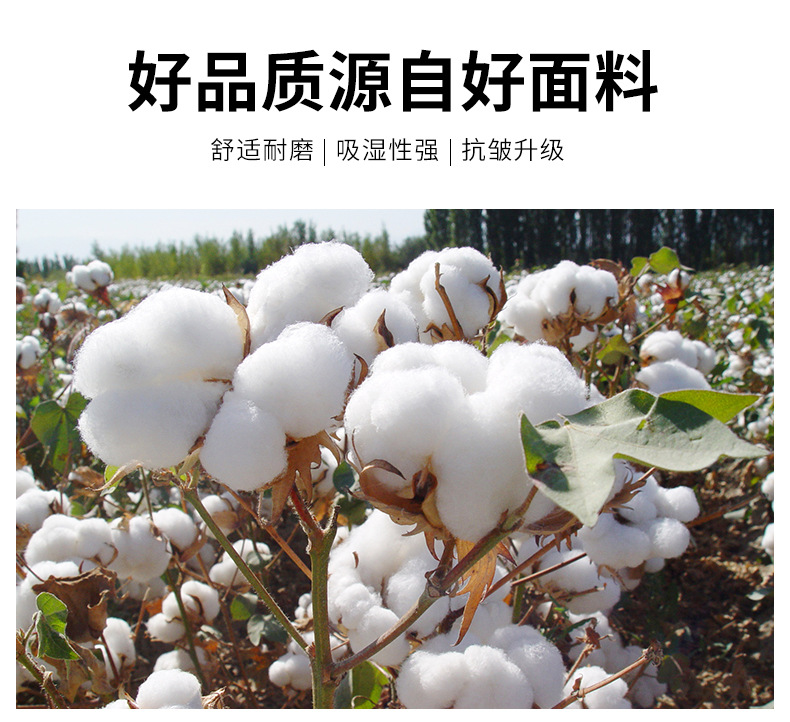 夏季短裤男装批发日系工装短裤男式休闲五分裤潮牌直筒多袋短裤男详情5