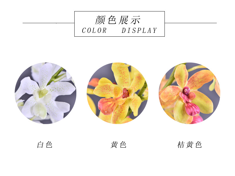 颜色展示.jpg