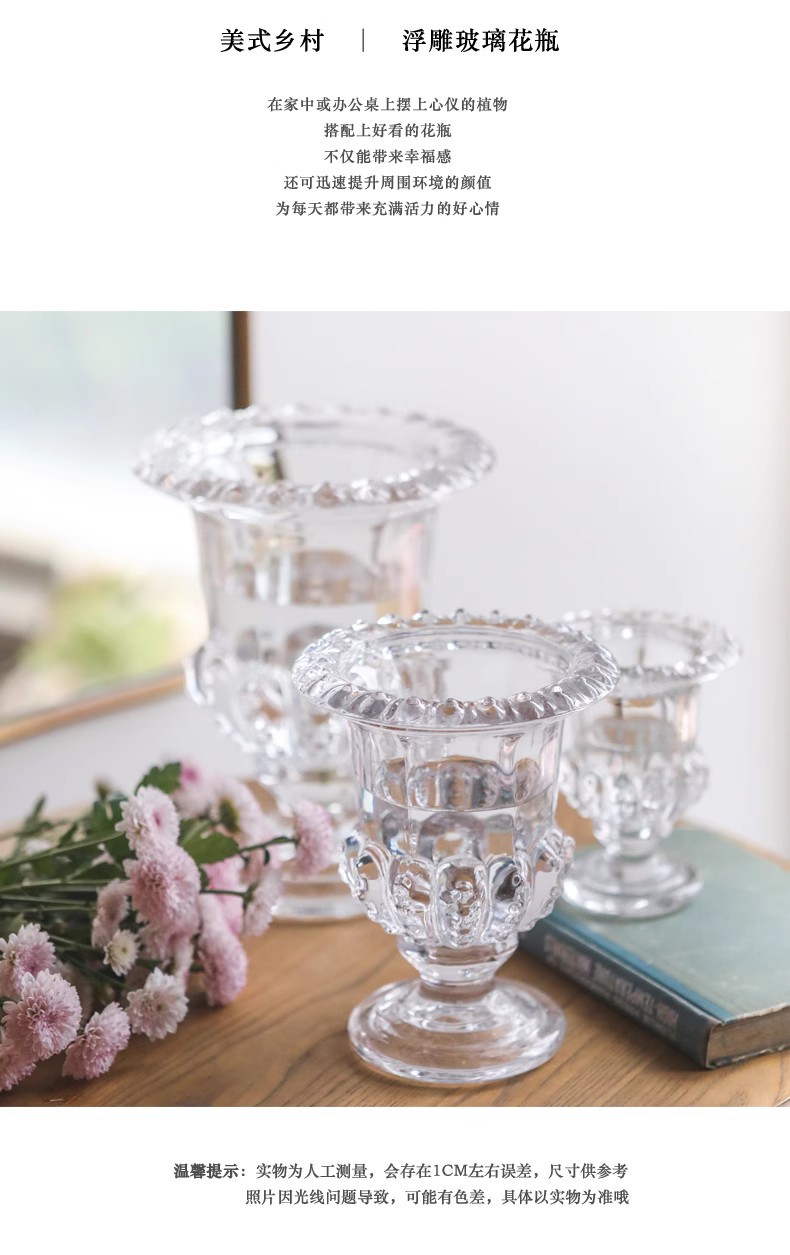 北欧ins高颜值罗马高脚风灯透明玻璃花瓶水养鲜花插花器餐桌摆件详情4