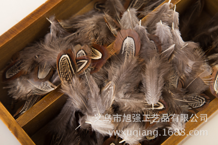 厂家直销山鸡大仓大昌羽毛 天然羽毛 山鸡羽毛野鸡毛厂家批发2-11详情15
