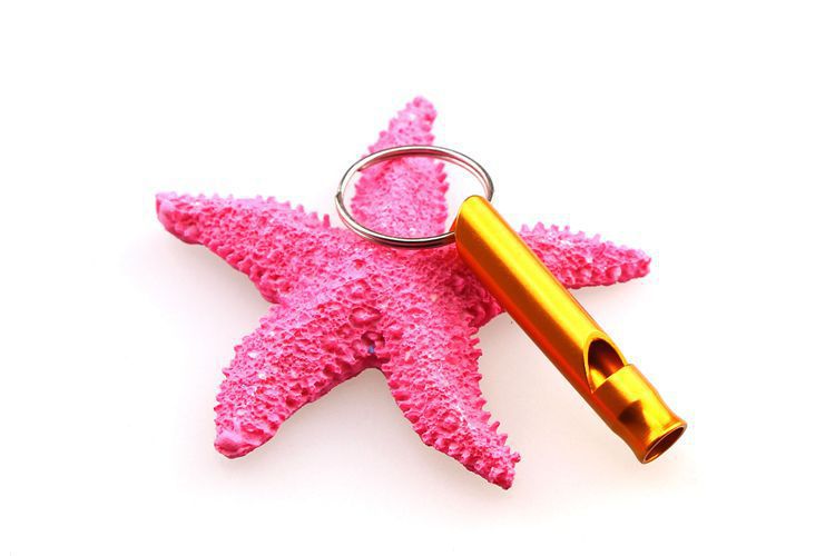 Pet whistles, aluminum alloy colorful small whistles, fire-fighting and wilderness survival whistles, outdoor training dog pet whistles pic 1