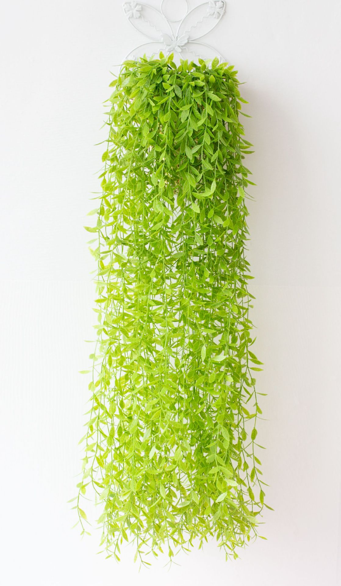 玉竹壁挂(1).jpg