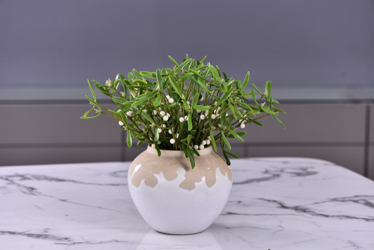 Factory direct sales of artificial mistletoe, wholesale of artificial plants, flower arrangement materials, window display, soft furnishings, pearl fruit and green plants pic 12