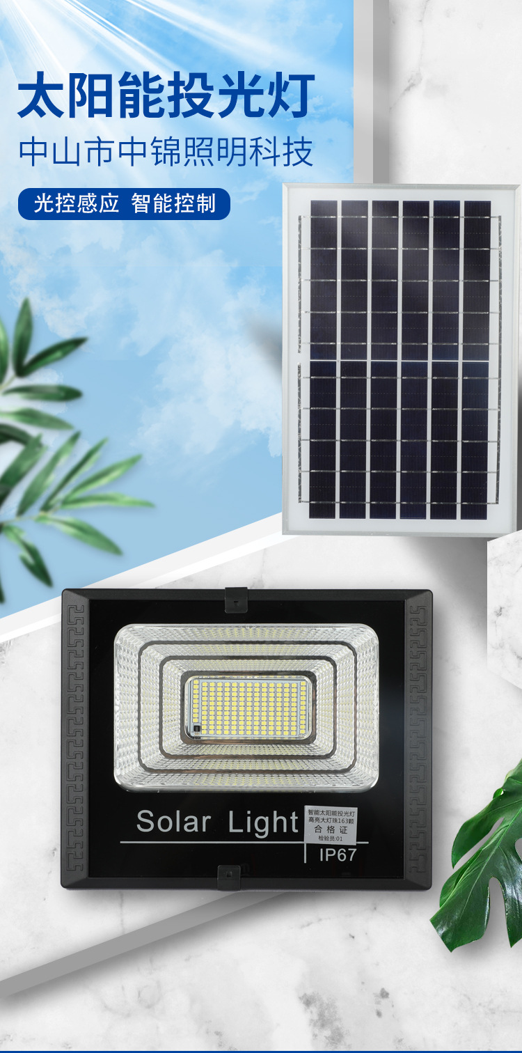 惠民新款太阳能灯户外照明庭院灯太阳能投光灯新农村路灯厂家直销详情5