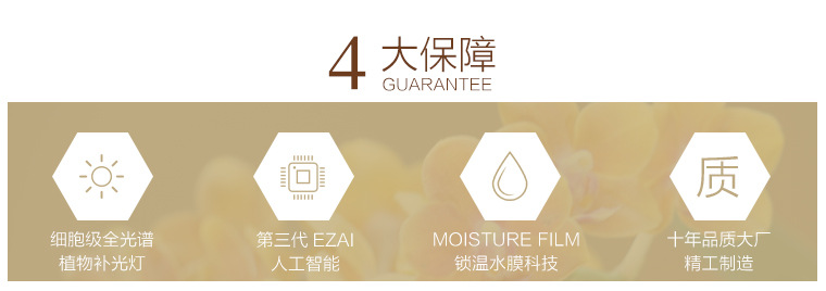 LAN Yuan Smart Flower POTS Office smart planting potted plants Creative flower POTS fully automatic flower POTS white pic 2