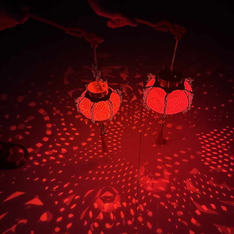 龙年植绒手提发光投影灯笼新年入门户装饰布置红灯笼元宵福字灯笼详情22