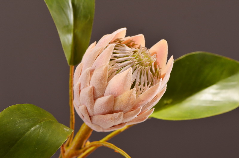 Wholesale of high-end artificial flowers such as faux emperor flower, South African princess flower, flocked faux flowers, hotel banquet table flowers, and homestay decoration pic 5