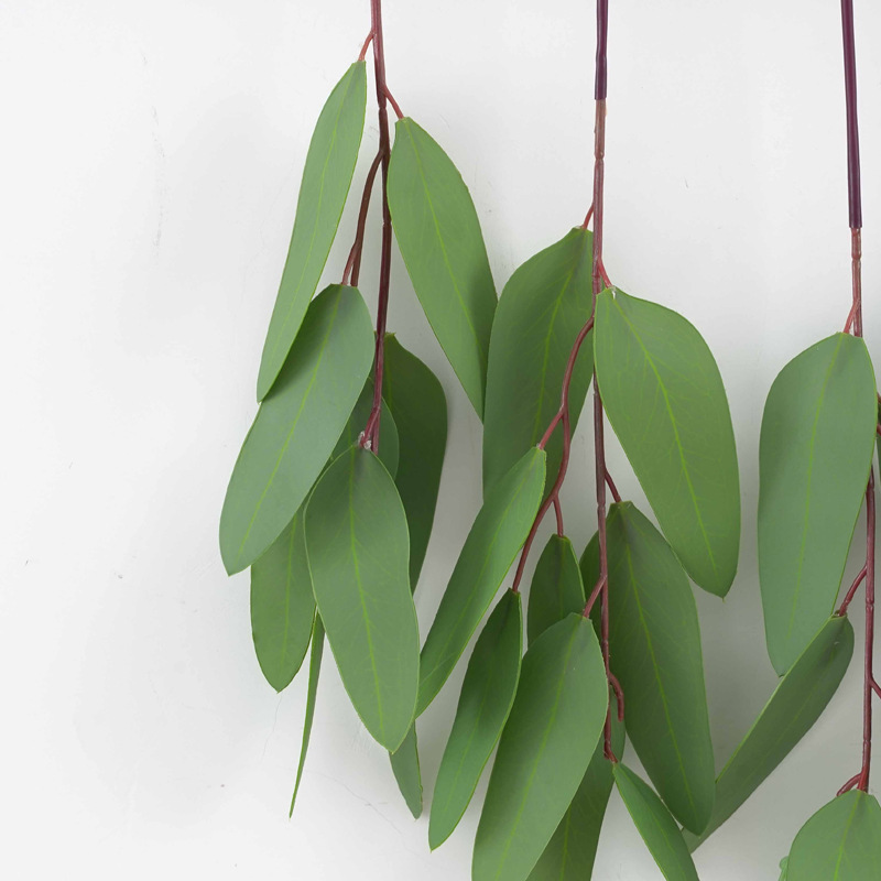 Nordic-style 3D window home decoration, eucalyptus grass, money leaves, eucalyptus leaves, wall hanging simulation plants pic 13