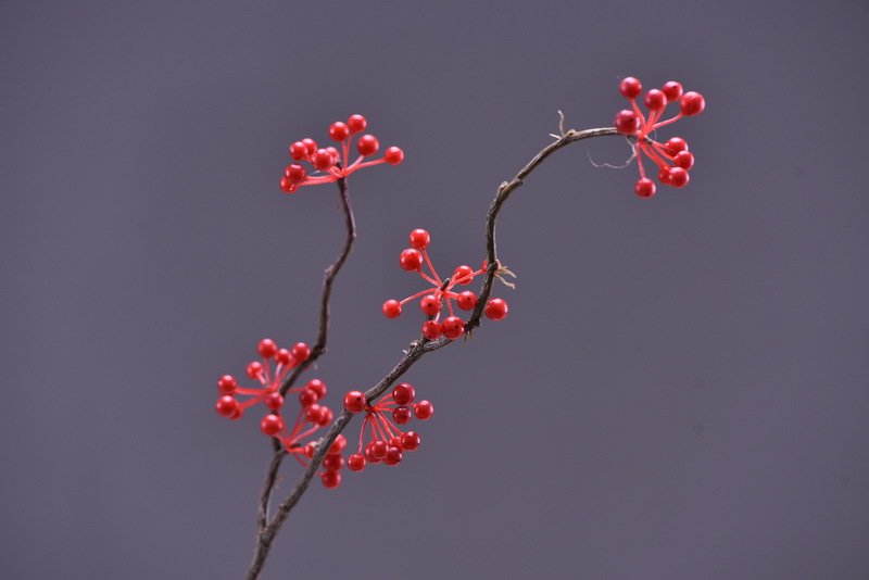 Lanjin Artificial Fruit Factory Direct Sales, wholesale of artificial berries, artificial green vine fruits, Chinese modern and simple decoration, winter green fruits, and mountain prosperity fruits pic 3