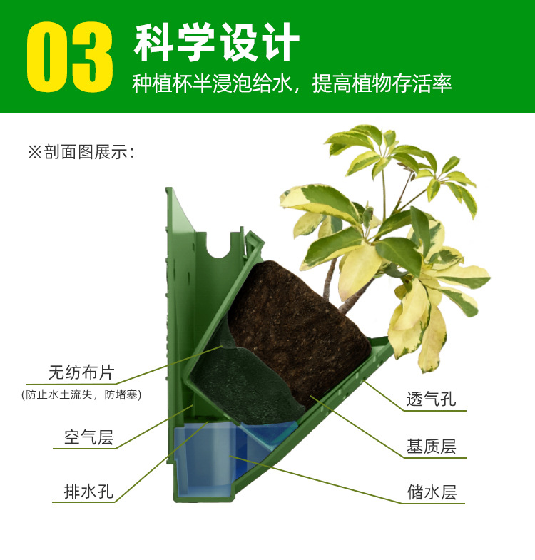 5017实拍_07.jpg