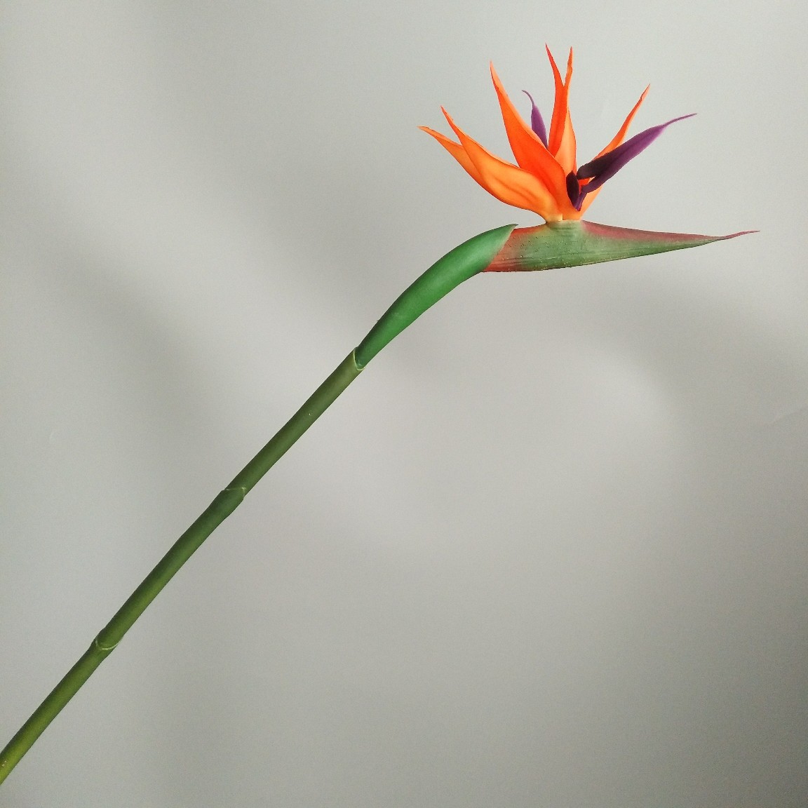 Soft rubber paradise Bird Crane Orchid New Chinese-style home model room decoration design, overseas wedding photography artificial flower pic 14