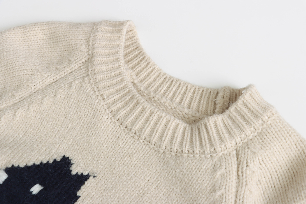 3th Morning North Island Park Korean Style Youthful Dog Embroidered Round Neck Pullover Sweater ZY2381 pic 81