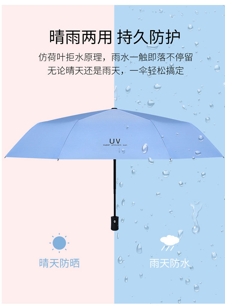 雨伞