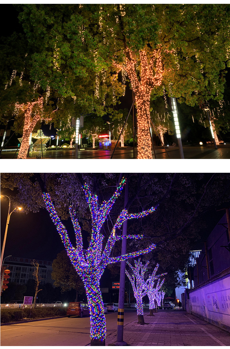 LED灯串户外庭院满天星防水彩灯圣诞婚庆串灯节日露营氛围灯详情4