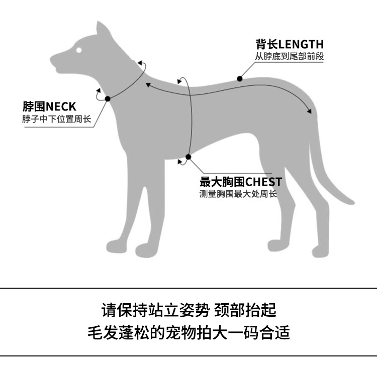 网红新款春季公主风裙子中小型犬猫比熊柯基防掉毛工厂可批发代发详情3